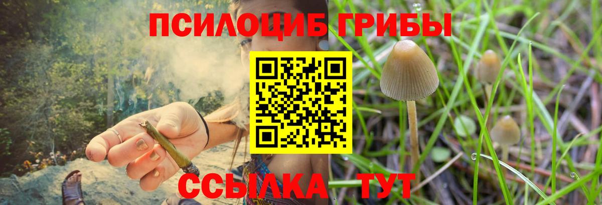 Псилоцибиновые грибы Psilocybine cubensis  Вход с VPN  Галлюциногенные грибы Cubensis  Барабинск 