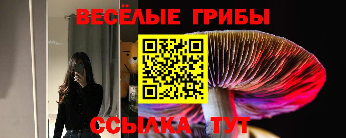 Галлюциногенные грибы мицелий Барабинск